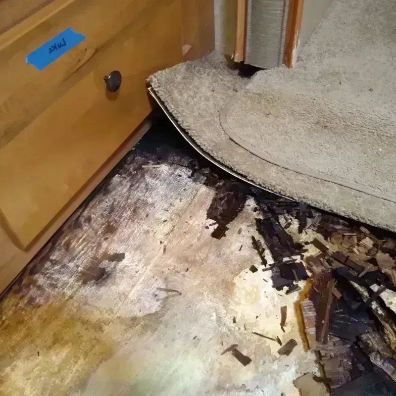 Wood Floor Water Damage in Camp County, TX